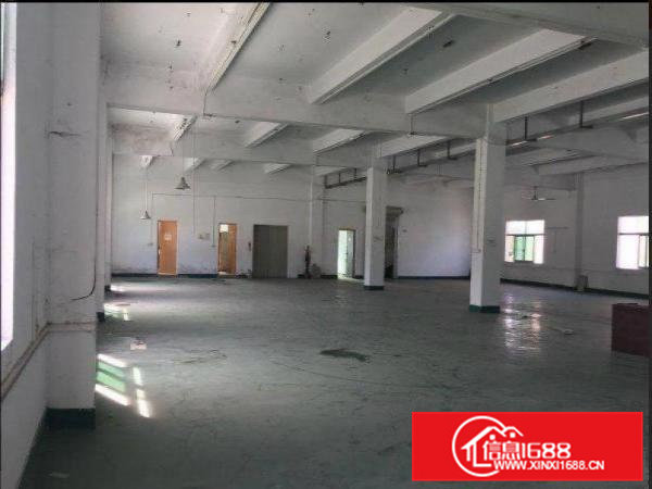 桥头屋厦标准厂房二楼850平