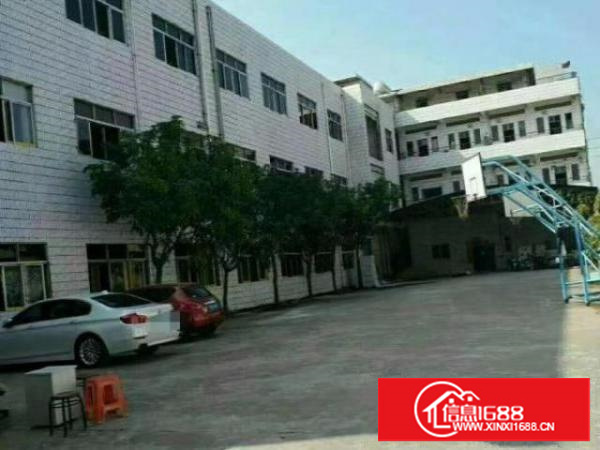 出租茶山城区，256平，价格便宜，水电齐全，位置好，急租急租