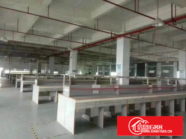 宝安石岩原房东独院10000平花园式厂房出租。