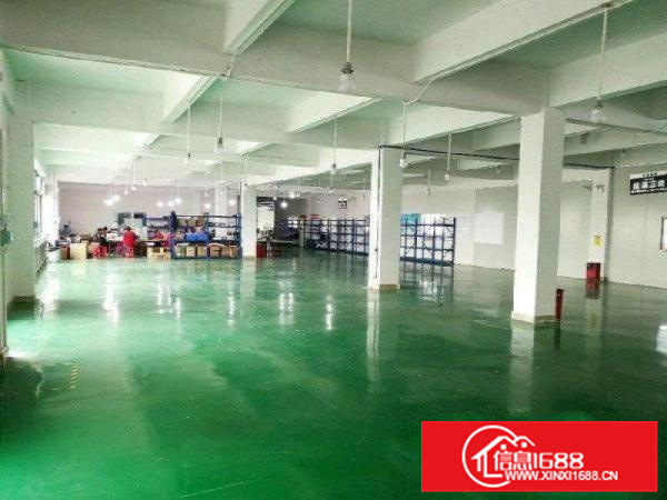 配电大，好进车，容桂一楼560方精装修厂房，好进车！