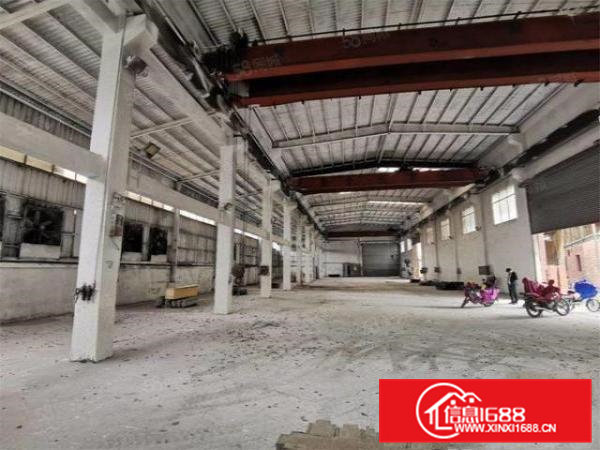 大朗单一层重工业厂房2900，可分900至2000，滴水10