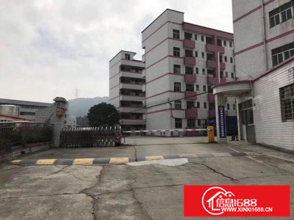 布吉南岭新出独门独院20000平米厂房出租