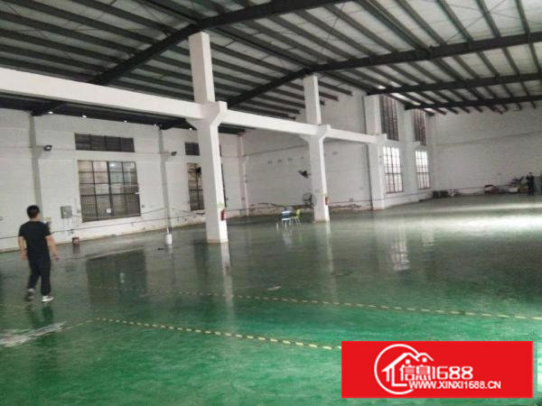 塘厦镇沙湖新出8米高钢构厂房