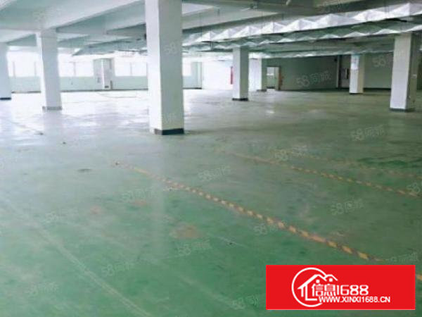 （原房东）石岩同富裕工业区新出5000平方带装修独院厂房出租