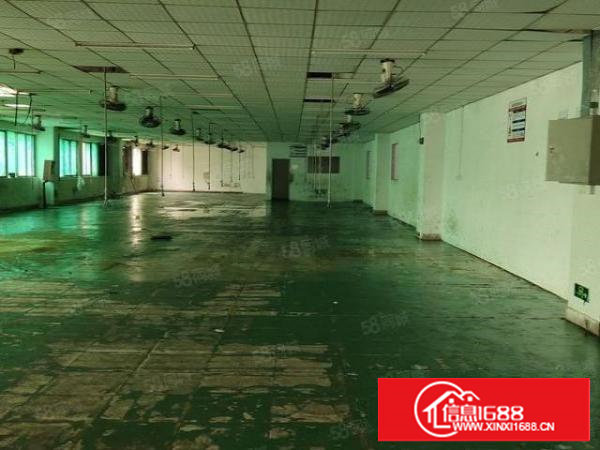 厦岗新出二楼带装修1000平方米厂房出租