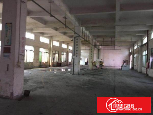 标准一楼厂房可做小污染行业