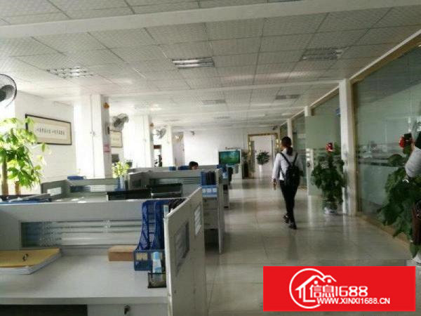 龙岗龙东高速出口楼上带装修1350平厂房出租