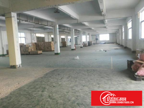 松岗多个工业区600到1万平方米有两百个靓盘招租