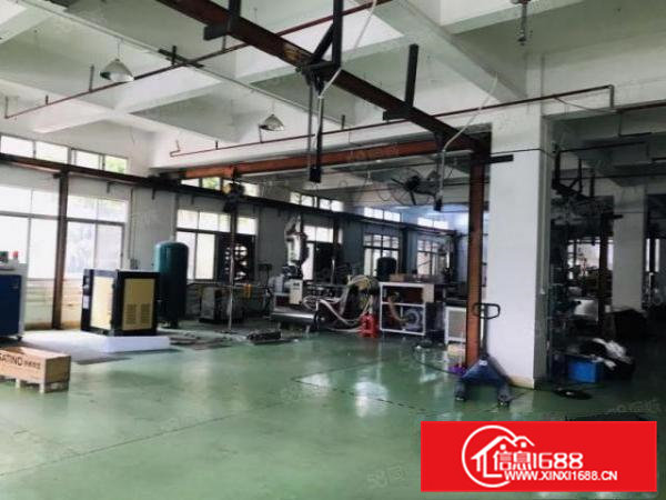 桥头镇新出原房东厂房标准一楼出租1450平方，豪华装修办公室