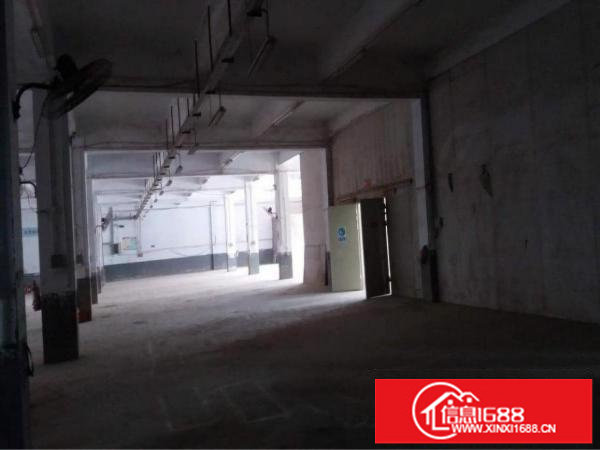 坪山石井工业区原房东独院2400平招租