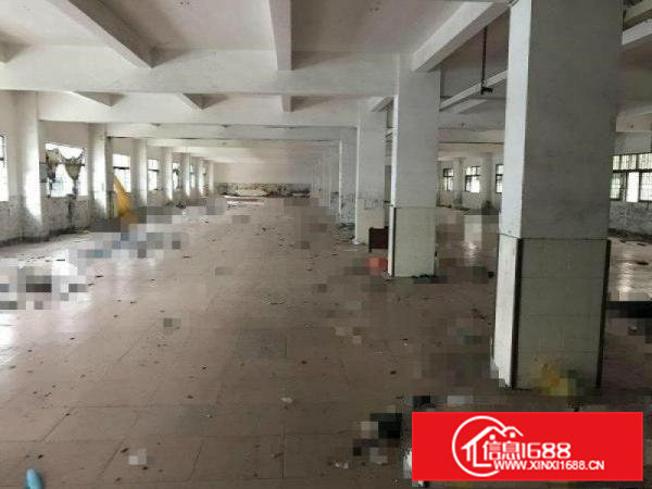 茶山增埗沙墩一楼厂房1500平方出租