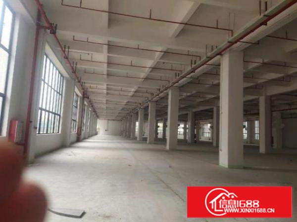 高埗新出独门独院花园式厂房出租总面积46500平方