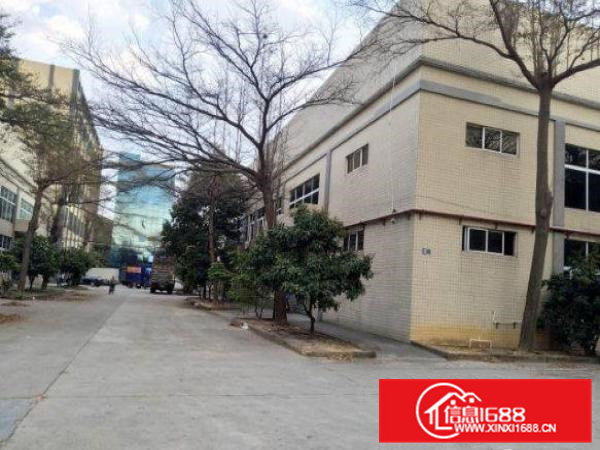 常平塘角4000平方米单一层标准钢构