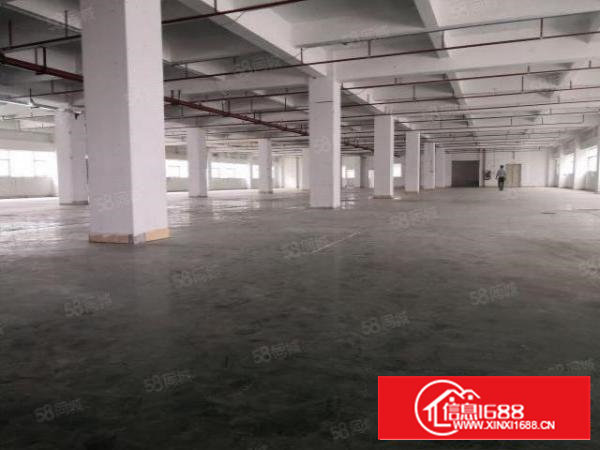 黄田标准厂房|1469平简装|格局方正|业主直租|车位充足