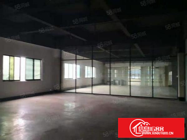 桥头镇新出标准厂房1300平方带精装修水电齐全