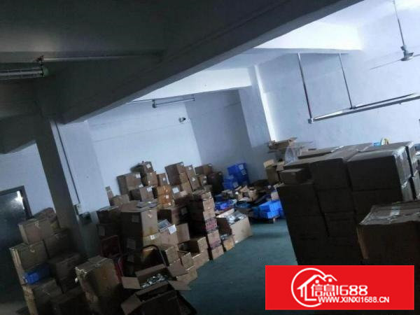 南栅新出现成装修一楼500平方。