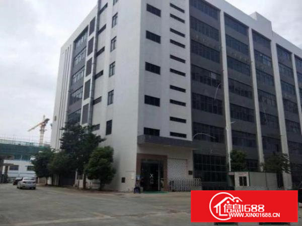 桥头镇大洲村新空出一栋23000平方米出租1000平方米起分