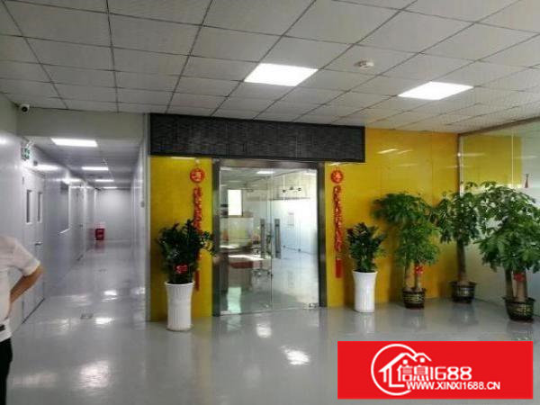 龙华大浪浪口工业区原房东厂房三楼1380平带精装修无公摊出租