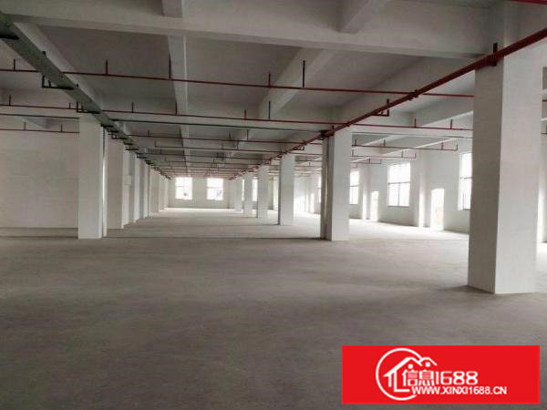 平湖原房东厂房楼上2400平出租可分租带装修