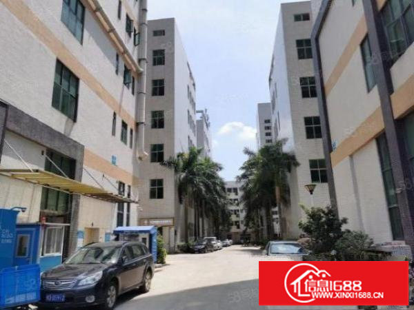 龙岗同乐新出楼上1250平红本原房东厂房实际面积出租可分租