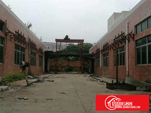 观澜环观中路横坑轻轨单一层独院厂房出租