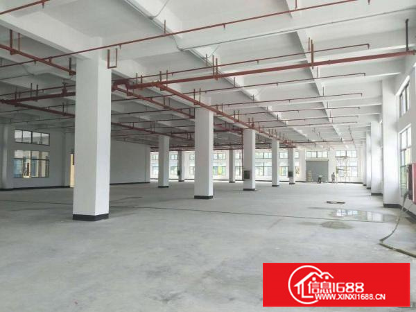 可做商业可做厂房！带消防喷淋！全新独院厂房出租！