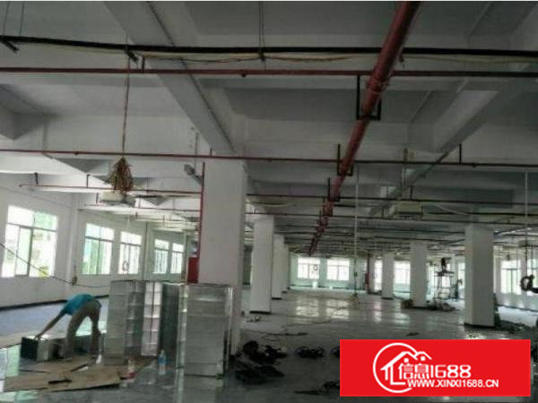 清溪荔横一楼标准厂房2400平方，带办公室