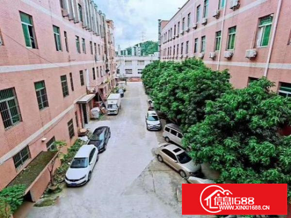 龙岗横岗花园式独门独院1-4层8500平方招租