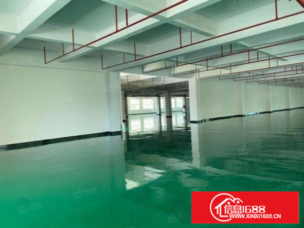 凤岗全新厂房楼上一整层4000平方，全新地坪漆，了分租