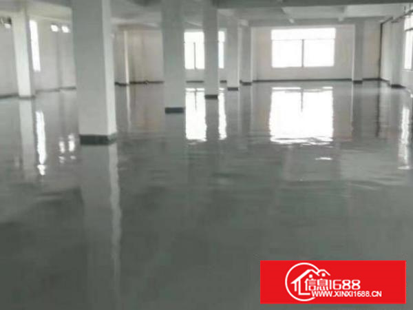 万江简沙洲新出独院标准厂房1-3层8000平方出租