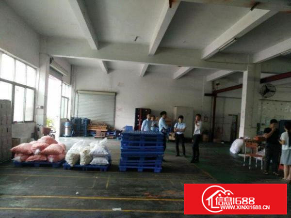 凤岗沙岭车站雁田一楼标准厂房出租500平原房东