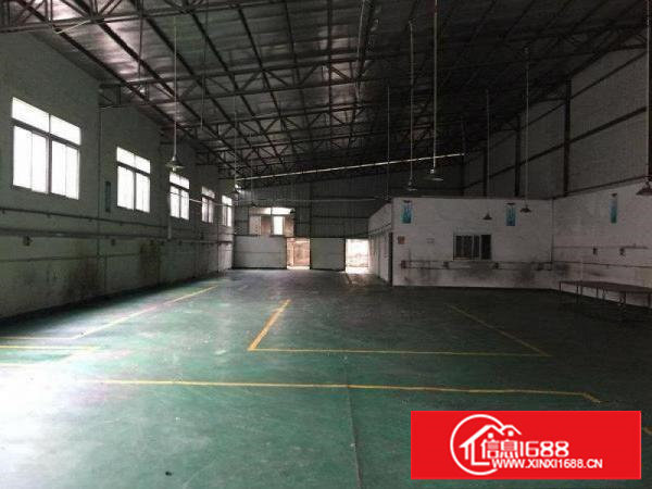 新安一楼1100平带装修水电齐全层高7米厂房招租