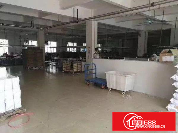 常平镇苏坑村新出一楼650平米标准厂房出租