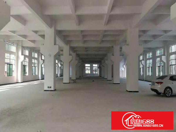虎门全新重工业厂房31800出租真实有效