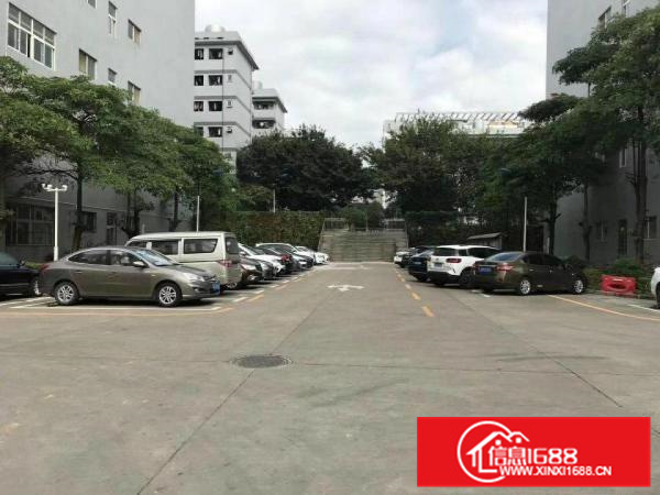 惠阳新墟新出村委独院标准厂房