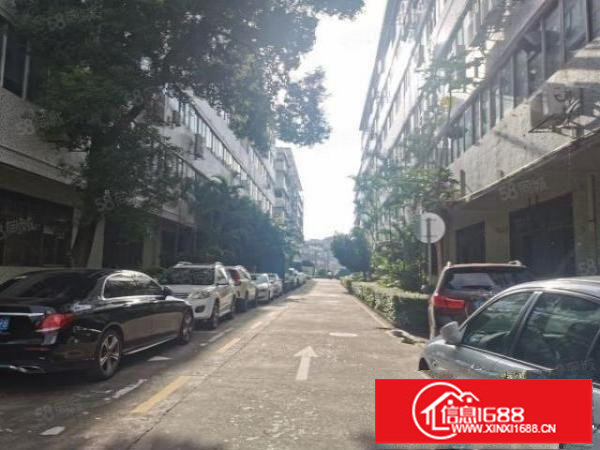 坂田龙壁工业区新出带装修场地500平出租