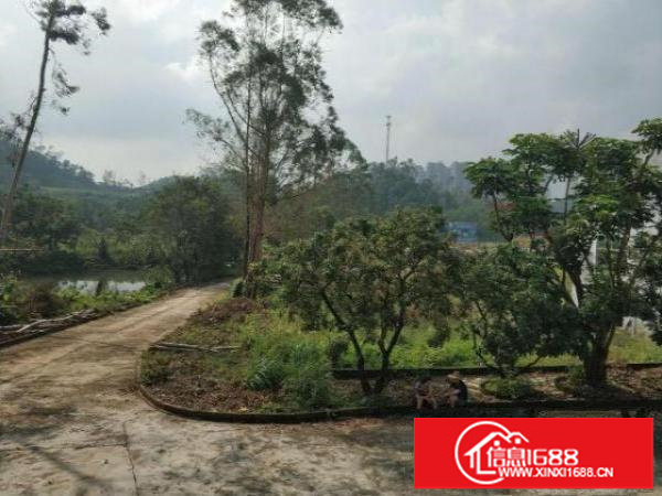 花园独院7380平.敬老院.疗养院.幼儿园