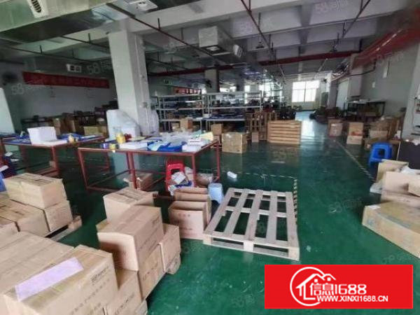 绿色地坪漆精装办公室水电齐全塘厦沙湖三楼厂房出租600