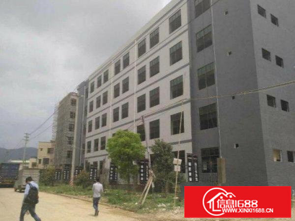 平湖上木古工业楼上800平方标准厂房形象好招租