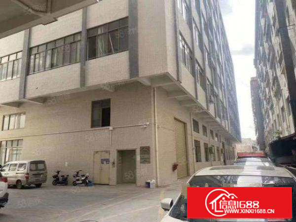 大岭山标准一楼800厂房出租，带消防喷淋，采光好