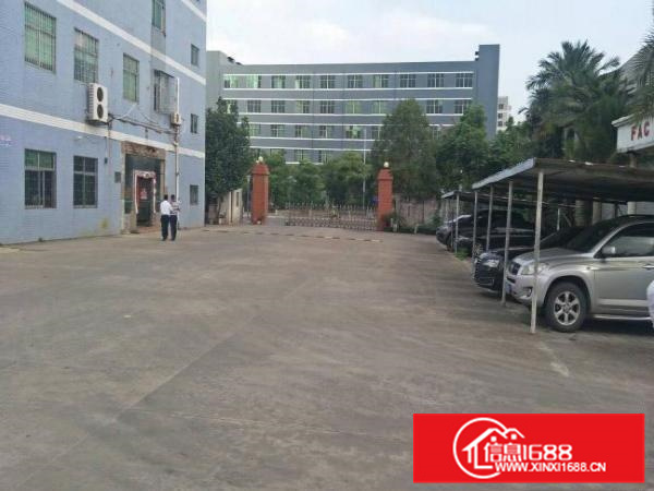 惠阳镇隆4000平独栋钢构高8米空地大可分租