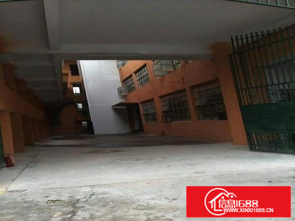 凤岗独院厂房4500带水电办公室加翻新低租