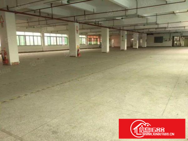 东莞东坑原房东独院厂房分租二楼800平米出租现成装修