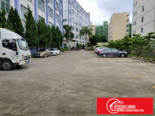 布龙路主干道新出原房东一楼厂房出租1300平方实际面积