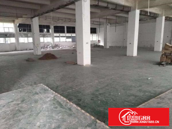 塘头附近新出底楼1600平厂房招租，可分割交通便利