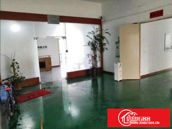 坂田新出500平豪华装修办公室可做生产整租