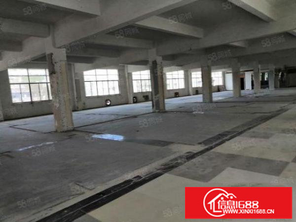 龙岗镇地铁口厂房12楼可分租单层2000m2共4000m2