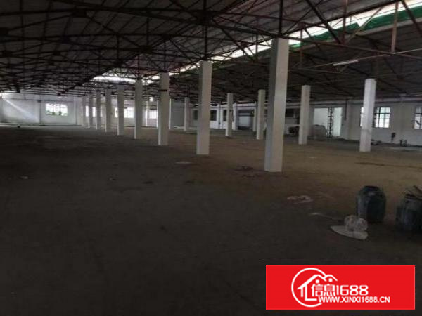 高埗独院3500平方单一层厂房出租办公室500平方，宿舍10