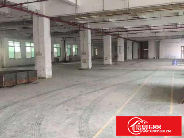 横沥镇原房东新出独门独院厂房招租已办环评