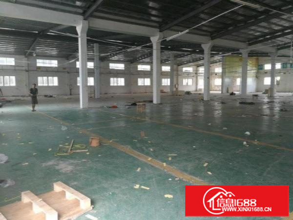 新圩独院钢构厂房面积3800平米，滴水8米高